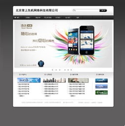 第一版網(wǎng)站設(shè)計(jì) 信息系統(tǒng)集成